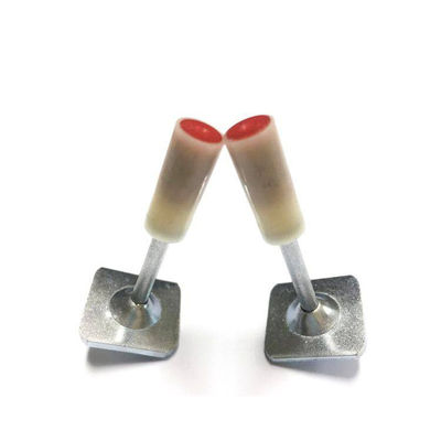 Ceiling Artifact and Ceiling Nail Steel Ceiling Fasteners for Waterproof Muffler