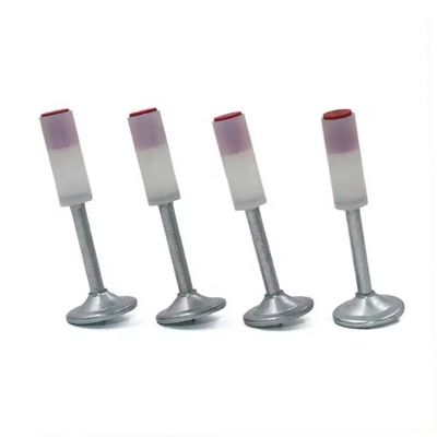 ISO Standard Round Ceiling Nail Clip Installation for Beautifully Decorated Ceilings