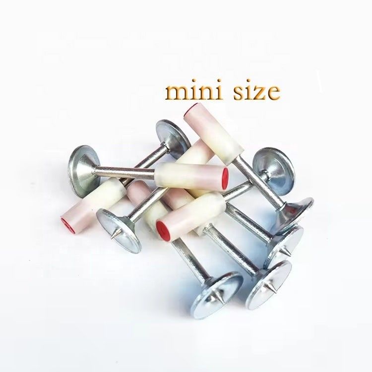7.3mm Head 25MM Length Mini Style Round Nails with 16mm Metal Washer and Iron